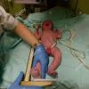 A woman in south africa named gosiame sithole has given birth to ten babies or decuplets. Https Encrypted Tbn0 Gstatic Com Images Q Tbn And9gctoi Lgi Mvvo673jbxhttyt2exb2ubzq7ganpziqf8l1dqeiyg Usqp Cau