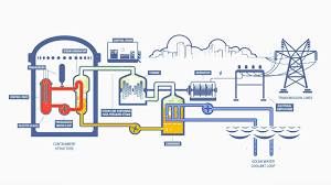 These are attached to a generator which produces electricity. How Do Nuclear Power Plants Work