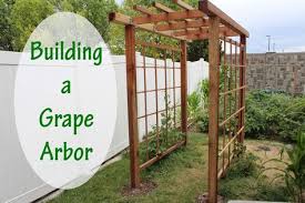 Build a trellis to support your grape plants and their climbing vines. Building A Grape Arbor In Your Backyard Garden Our Stoney Acres Grape Arbor Garden Arbor Pergola
