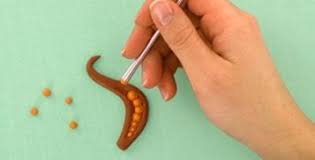 The process by which grain is pearled. Pearling Polymer Clay Beads Polymer Clay Art Polymer Clay Crafts