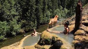 Maybe you would like to learn more about one of these? Umpqua Hot Springs Soakoregon Com