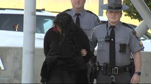 Dimple Patel, woman charged with fatal March 2024 DUI crash on I-95 in  Philadelphia, was in hands-free driving mode, police say - 6abc Philadelphia