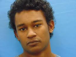 Video: Suspect yells 'shoot me!' after police chase in S.A. suburb