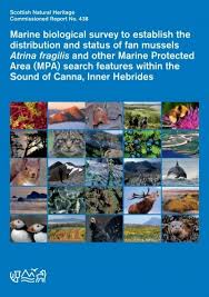 Este singura specie a grupului care patrunde in marea neagra, semnalata si in dreptul litoralului romanesc. Marine Biological Survey To Establish The Distribution And Status Of