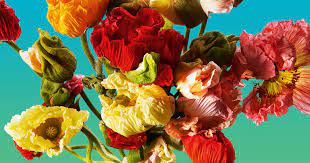 daizy bar diner restaurant galerie eventhalle catering events blumen ab juni in der binz diner catering restaurant