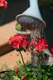 Container gardens are the easiest way to instantly inject style into outdoor spaces. Watering Outdoor Potted Plants When To Water Container Plants