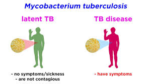 A type of bacteria called mycobacterium tuberculosis. Multidrug Resistant Tuberculosis Mdr Tb Mycobacterium Tuberculosis Youtube