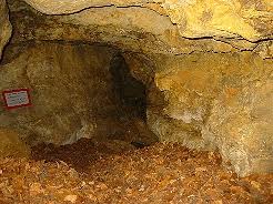 It is developed in bedded limestones, not in. Hohlen Bei Muhlbach Im Altmuhltal