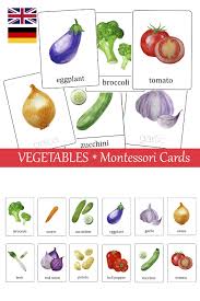 Vegetables Watercolor Flash Cards Montessori Three Part Etsy Flashcards Watercolor Cards