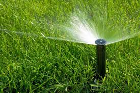 Sprinkler / irrigation system repair, maintenance, and installation. How To Grow Grass Fast Irrigation Lawn Sprinklers Water Grass