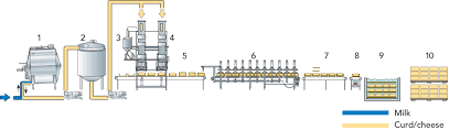 cheese dairy processing handbook