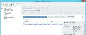 Https Kasperskylabs Jp Biz Sonota Procedure Activate License Pdf