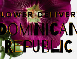 Roses, tulips, daisies, orchids, irises, gift baskets, plans The 8 Best Options For Flower Delivery In Santa Rosa 2021