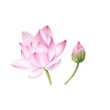 With these 81 printable flower patterns, you can learn how to make fabric flowers, paper flowers, and more. Lotus Blossom Watercolor Painting Etsy In 2020 Flower Drawing Watercolor Flowers Watercolor Painting Etsy
