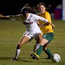 Image result for Golden Almond 2010 HS