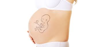 Belly Mapping 101 So Erkennen Sie Die Position Ihres Babys Im Mutterleib Schwangerschaft