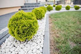 Barang yang berat di bagian bawah shelving 3. Tips Merancang Taman Mungil Di Rumah Halaman All Kompas Com