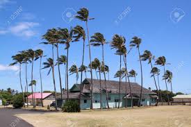 With four distinct climate zones, thrill seekers can ski down volcano peaks and surf warm ocean all in the same day! An Old Hawaiian Plantation Style Home In Kalaupapa Paradise Awaits With These Great Vacation Home Rentals On Kalaupapa Peninsula Molokai Island Hawaii Stock Photo Picture And Royalty Free Image Image 56581453
