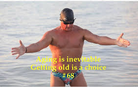 Douglas Clydesdale Comstock (@dougclydesdalecomstock) • Instagram photos  and videos