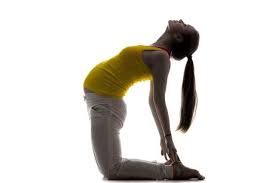 Høy kvalitet og 99,9% nøyaktige med anonym og rask levering. Derfor Far Du Bekkenlasning Ulleval Kiropraktorklinikk