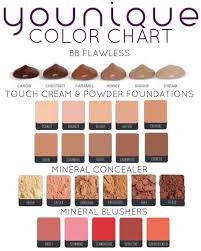 Younique Color Chart Younique Homemade Blush Concealer