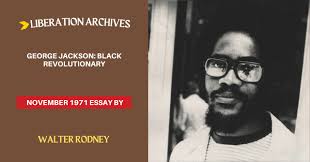 walter rodney Archives