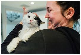 A Day-in-the-Life Family Session to Celebrate My Sick Kitty