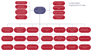 organizational chart united states department of labor