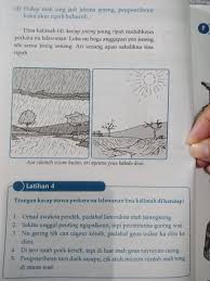 We did not find results for: Mohon Bantuan Nya Temen2 Soal Basa Sunda Kelas 4 Brainly Co Id