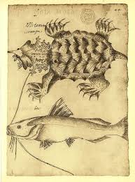 Your Place To Buy And Sell All Things Handmade Drawing Sketches Drawings Fish Print