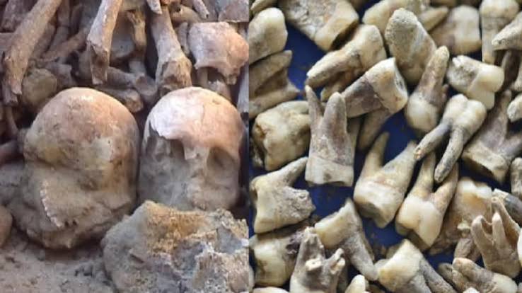 अजनाला नरसंहार: अंग्रेजों ने सैनिकों की खोपड़ी में दाग थीं गोलियां, कई को कुएं में जिंदा दफना दिया था - In Punjab Ajnala Massacre Scientists claim Bullets found in skulls ...