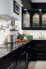 However, this will suit the best if you have a dark color flooring. 30 Sophisticated Black Kitchen Cabinets Kitchen Designs With Black Cupboards
