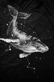 Myr4vq8fhkg Jpg 683 1024 Whale Art Black Paper Drawing Space Art