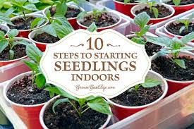 Be sure to follow planting zinnias are simple to start from seeds. 10 Steps To Starting Seedlings Indoors