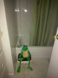 Pin By Toby Reynolds On Julian 3c Frog Wallpaper Nerd Memes Cursed Images