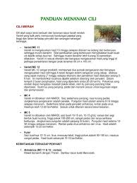 Berminat dengan tanaman cili fertigasi? Panduan Menanam Cili