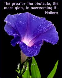 No gilded dome swells from the lowly roof to enjoy reading and share 1 famous quotes about good morning glory with everyone. The Greater The Obstacle The More Glory In Overcoming It Moliere Great Success Glory Greater Mor Morning Glory Flowers Morning Glory Seeds Morning Glory