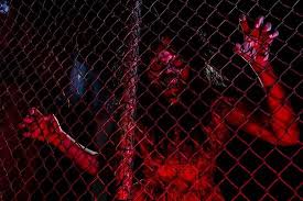 Boneriven itself lies behind the dungeon in sentinel's gaze in the kingdom of the dead. Basement Of The Dead Haunted House Aurora 2021 What To Know Before You Go With Photos Tripadvisor
