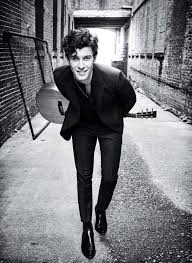Image result for shawn mendes