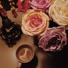 قهوة قهوه ورد ورود coffee flowers rose plants flowers