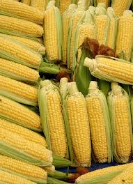 Store sweet corn in the fridge or freezer, as whole ears or as kernels, for longer storage. Corn Sweet Corn Turo Family Chiropractic