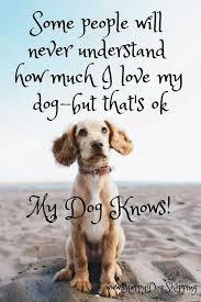 Pin By Sidnei Dyson On Animals Dog Quotes Puppy Quotes I Love Dogs