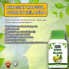 Dengan 10 ribu kali lebih kuat dari pada terapi kemo. Kapsul Durian Belanda Ndlife Ekstrak Durian Belanda Special Free