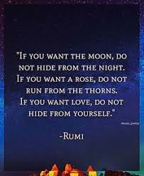 Do Not Hide From Yourself Rumi Try A Little Harder Next Time Rumi Quotes Encouragement Quotes Inspirational Quotes