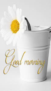 Good morning flowers hd wallpaper. Good Morning Flower Hd Mobile Wallpaper Peakpx