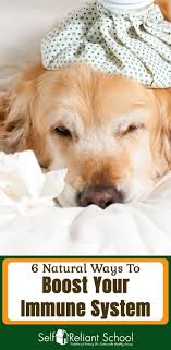 Pin On Flu Cold Stuffy Nose Remedies