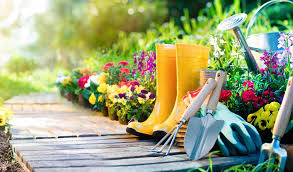 Maybe you would like to learn more about one of these? Naperville Gardener Gardening Book Of The Month Positively Naperville