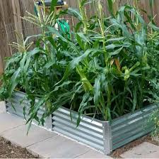 Earthmark alto series 22 in. Metal Garden Beds