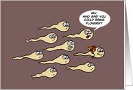 Maybe you would like to learn more about one of these? Humor Congratulations On Pregnancy Cards From Greeting Card Universe