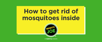 Getting rid of mosquitoes will simply help you stay comfortable. How To Get Rid Of Mosquitoes Inside The House Mosquito Joe